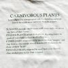 Carnivorous Plants T-shirt Youth - Image 2