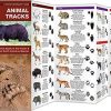 PFG Pkt Nat Animal Tracks; Kavanaugh, James - Image 2