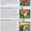 PFG - QRP Mushrooms of NC, SC, GA - Image 2