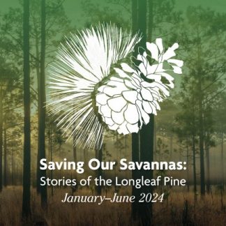 Saving Our Savannas: Stories of the Longleaf Pine