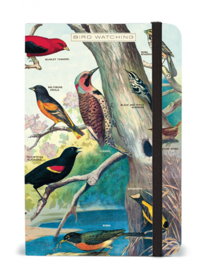 Cavallini Notebook: Small, Bird Watching - 4"x6"