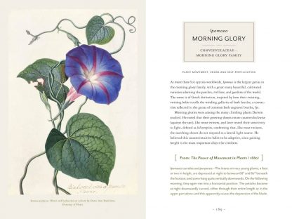 Darwin and the Art of Botany: Observations on the Curious World of Plants; Costa, James; Angell, Bobbi- TPR - Image 3