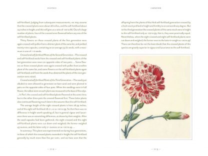 Darwin and the Art of Botany: Observations on the Curious World of Plants; Costa, James; Angell, Bobbi- TPR - Image 4
