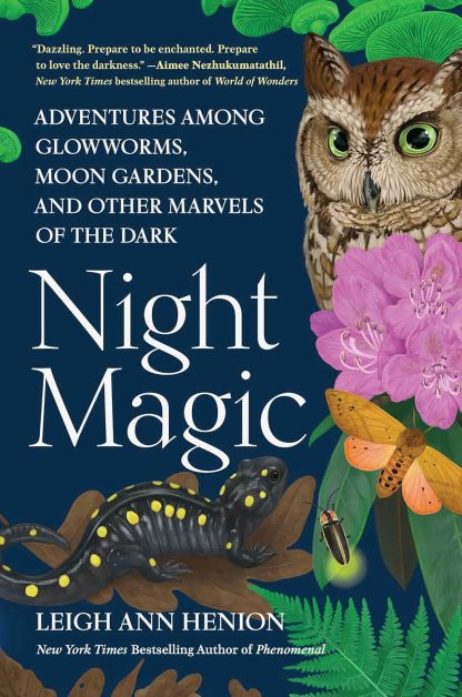Night Magic; Henion, Leigh Ann -ALG