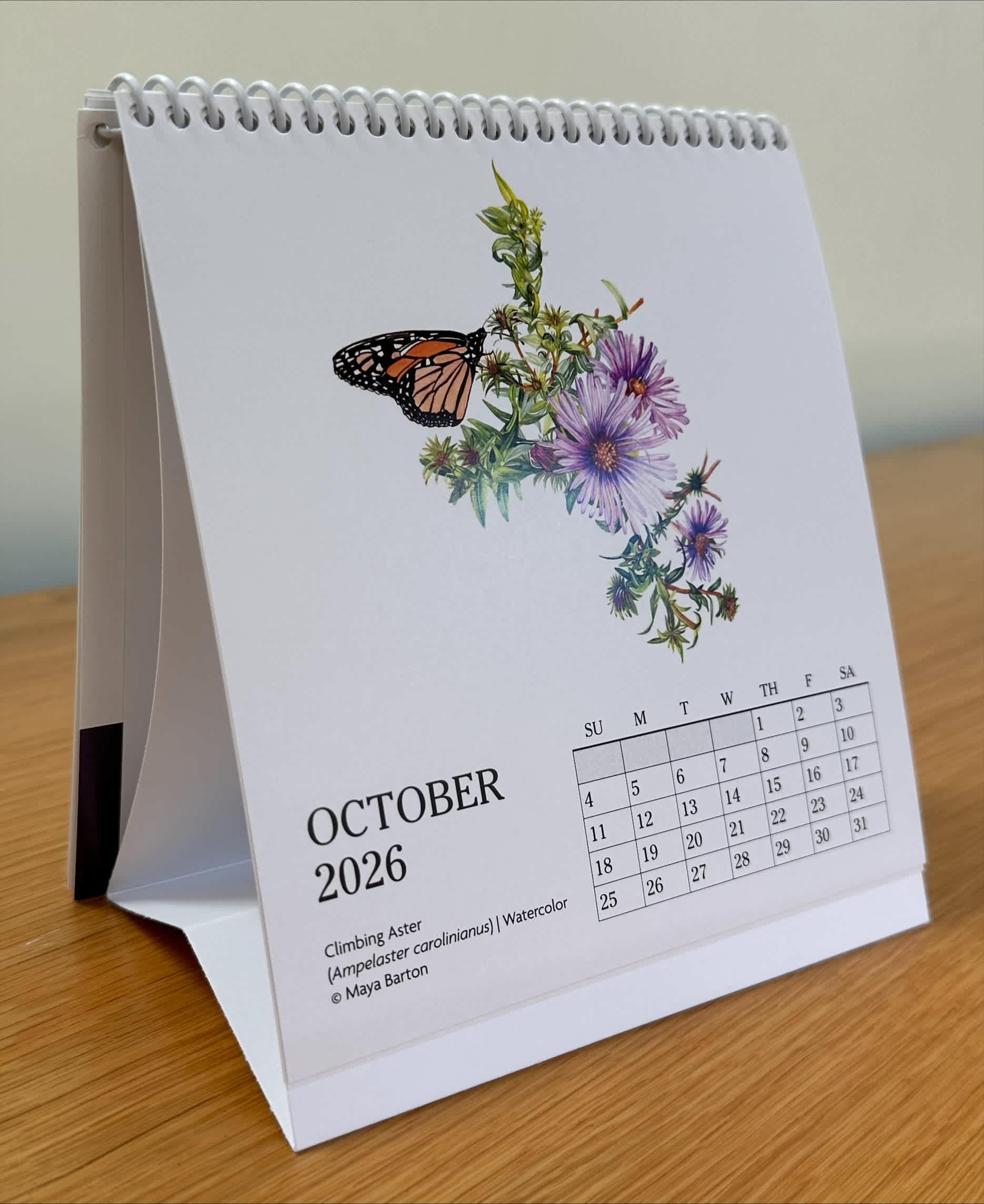 2026 BAI Calendar - Image 4