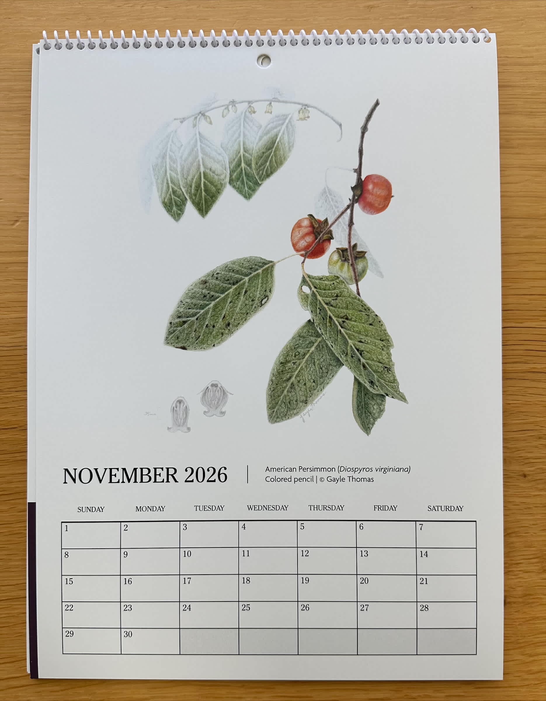2026 BAI Calendar - Image 3