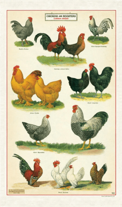 Cavallini Tea Towel: Chickens