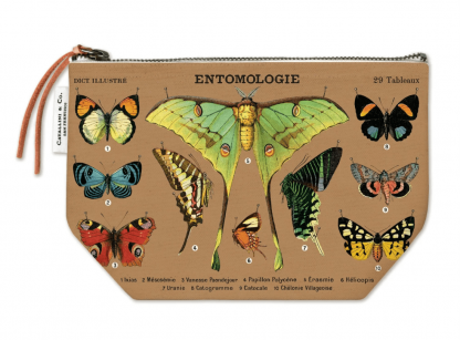 Cavallini Pouch: Entomology