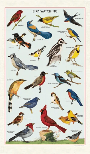 Cavallini Tea Towel: Bird Watching