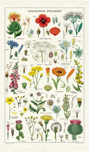 Cavallini Tea Towel: Wildflowers
