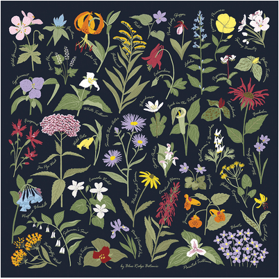 BRB Field Guide Bandana Wildflowers - Image 2