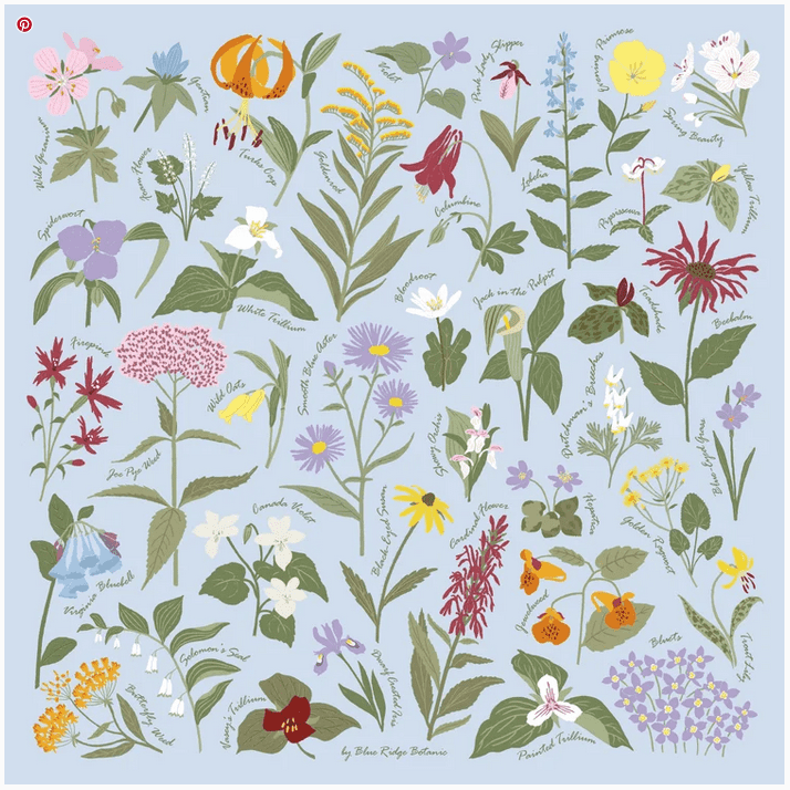 BRB Field Guide Bandana Wildflowers - Image 3