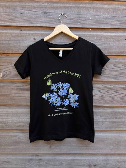 WFOY 2026 Aster LADIES VEE