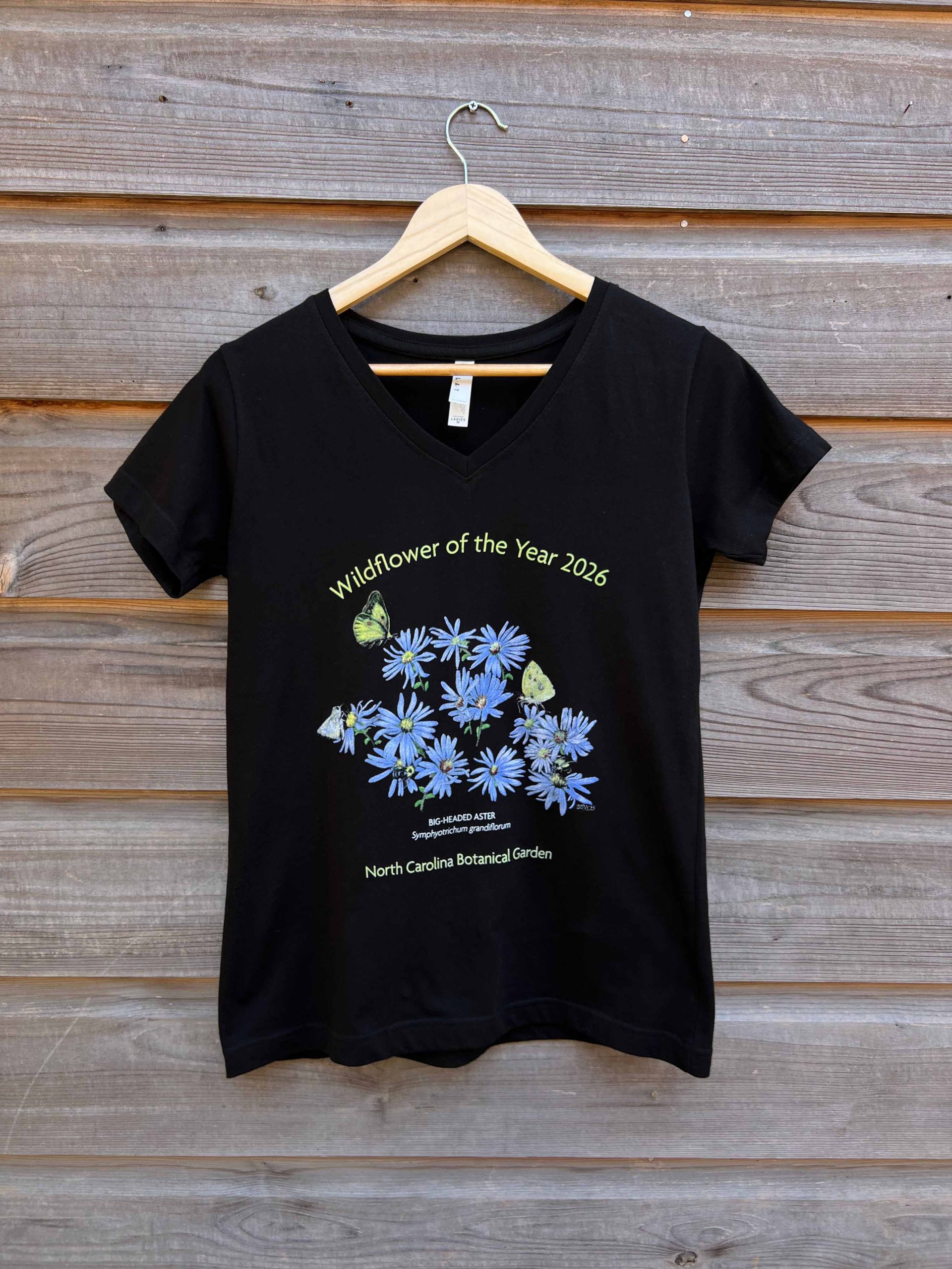 WFOY 2026 Aster LADIES VEE