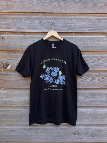 WFOY 2026 Aster SHORT Sleeve